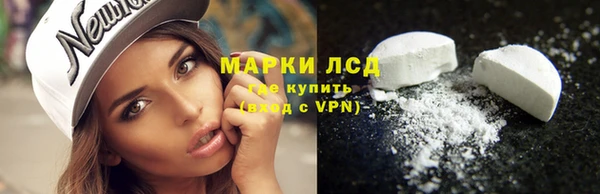 PSILOCYBIN Красноперекопск