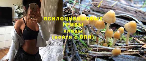 PSILOCYBIN Красноперекопск