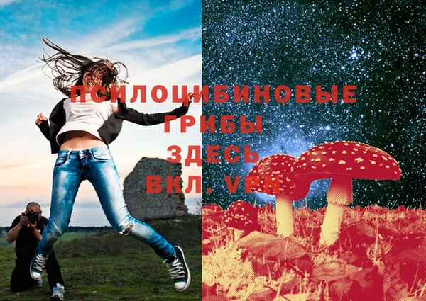 spice Краснотурьинск