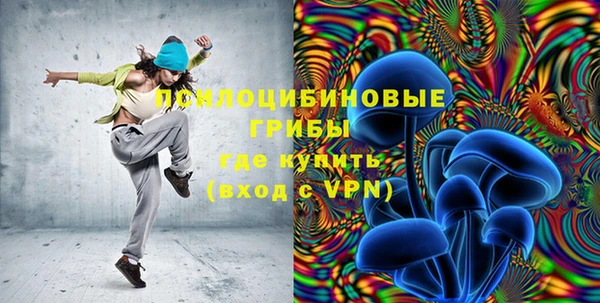 PSILOCYBIN Красноперекопск