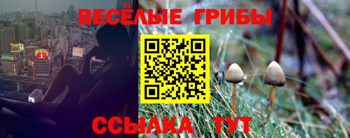 Галлюциногенные грибы мицелий Ухта