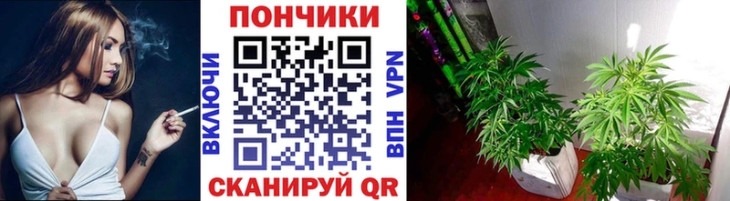 магазин продажи   Ухта  Бошки марихуана конопля 