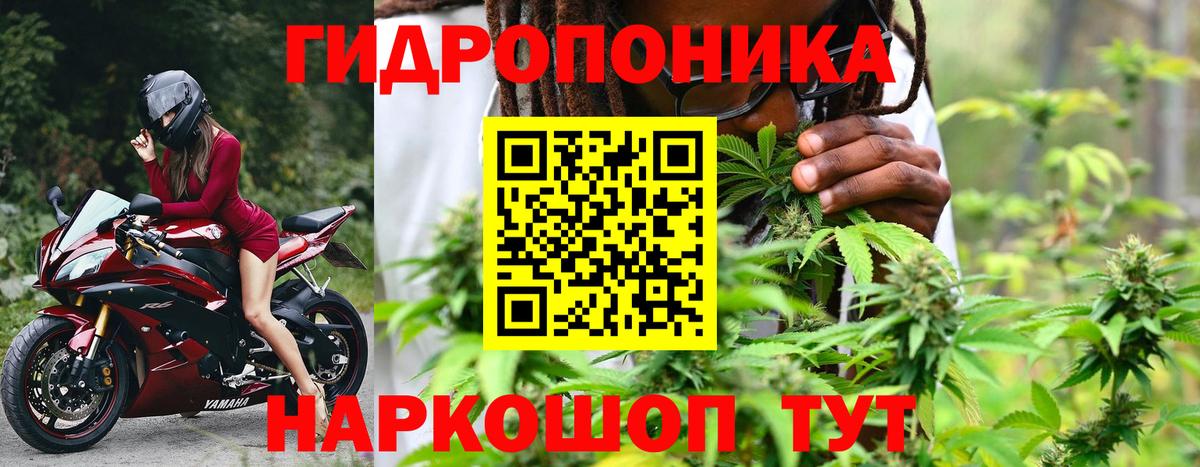Конопля планчик  МАРИХУАНА планчик  Вход с VPN  Шишки марихуана сатива  Ухта 